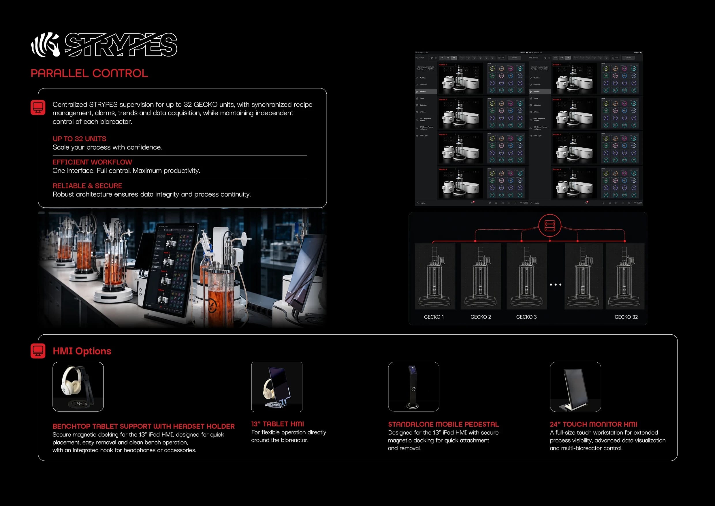 GECKO brochure page 6